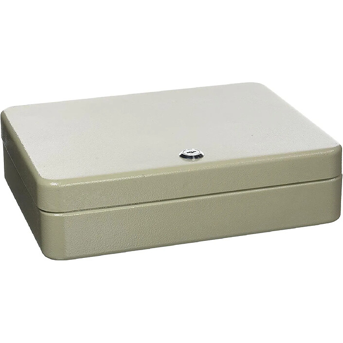 SIGN Armoire à clés en tôle d'acier 0,8mm pour 93 clés gris clair
