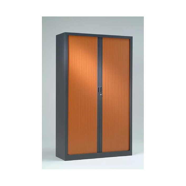 VINCO Armoire Monobloc H160xL120xP43 cm 3T Anthracite Rideaux Merisier