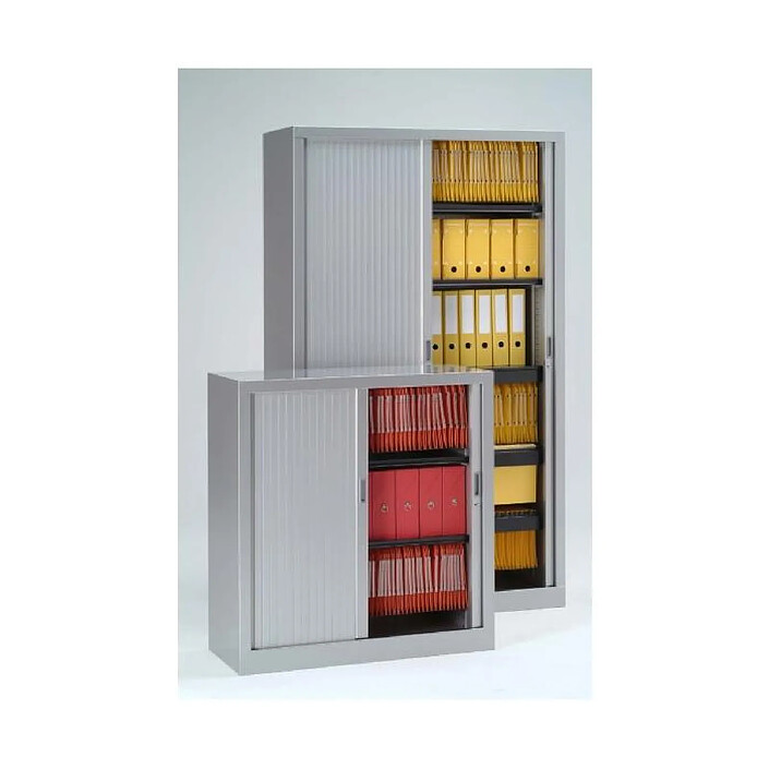 VINCO Armoire Monobloc H100xL100xP43 cm 2 Tablettes Gris (7035) Rideaux Gris