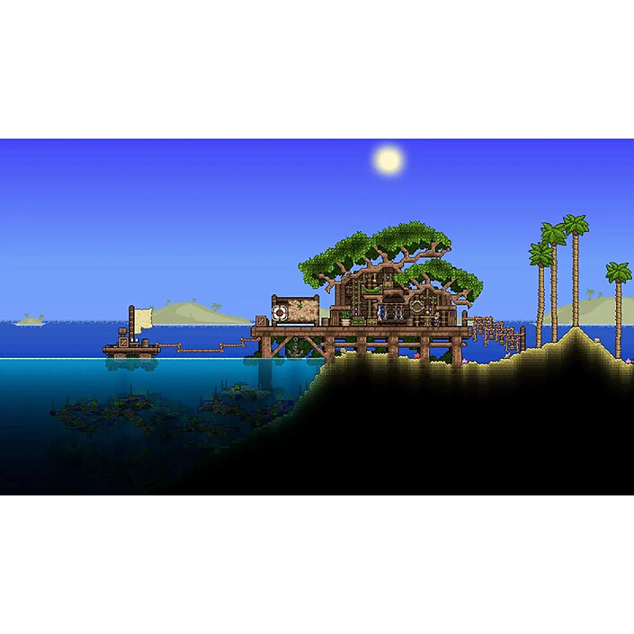Avis Terraria PS4