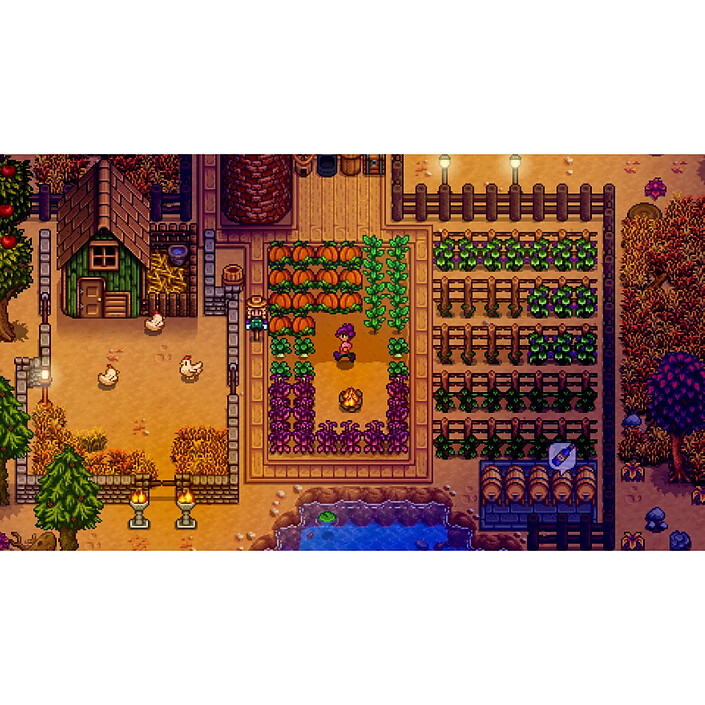 Acheter Stardew Valley Nintendo Switch