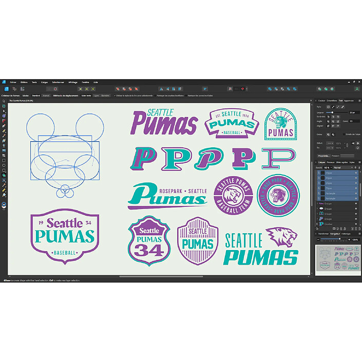 Avis Affinity Designer v2 - Licence perpétuelle - 1 PC - A télécharger