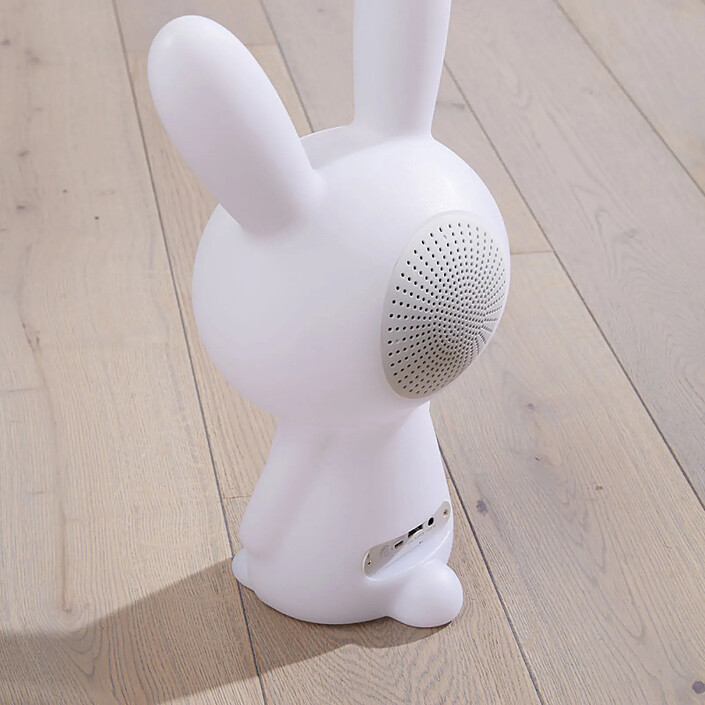 Enceinte Bluetooth