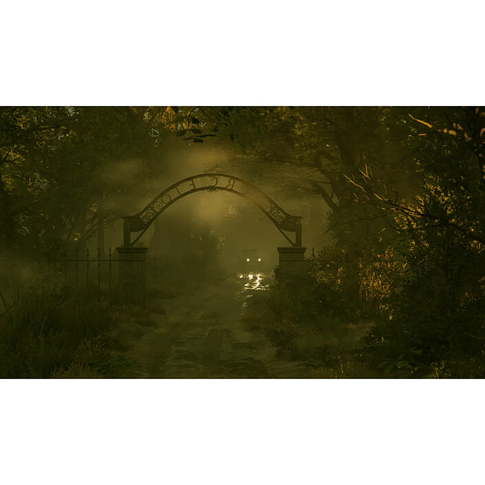 Avis Alone in the Dark (PS5)