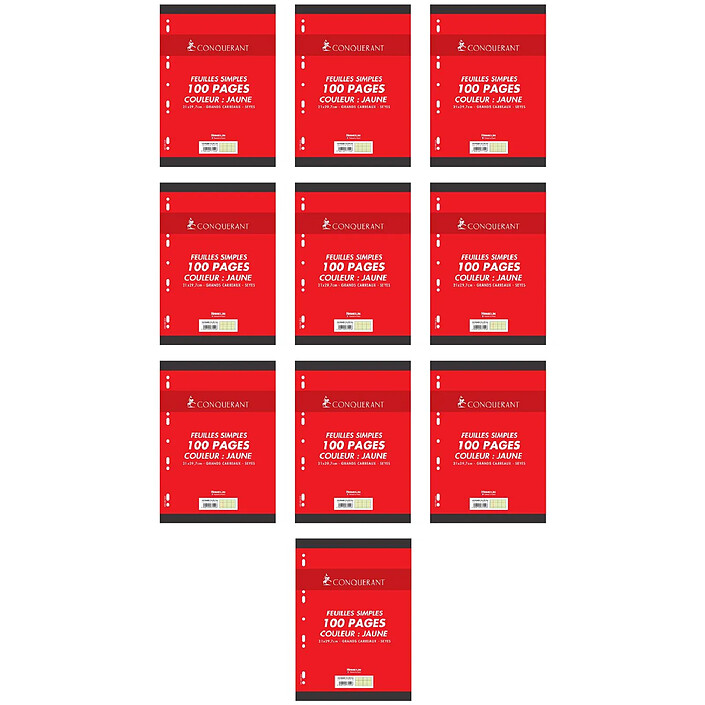 CONQUÉRANT Feuillets mobiles 21x29,7 cm 100 pages grands carreaux jaunes 80g x 10