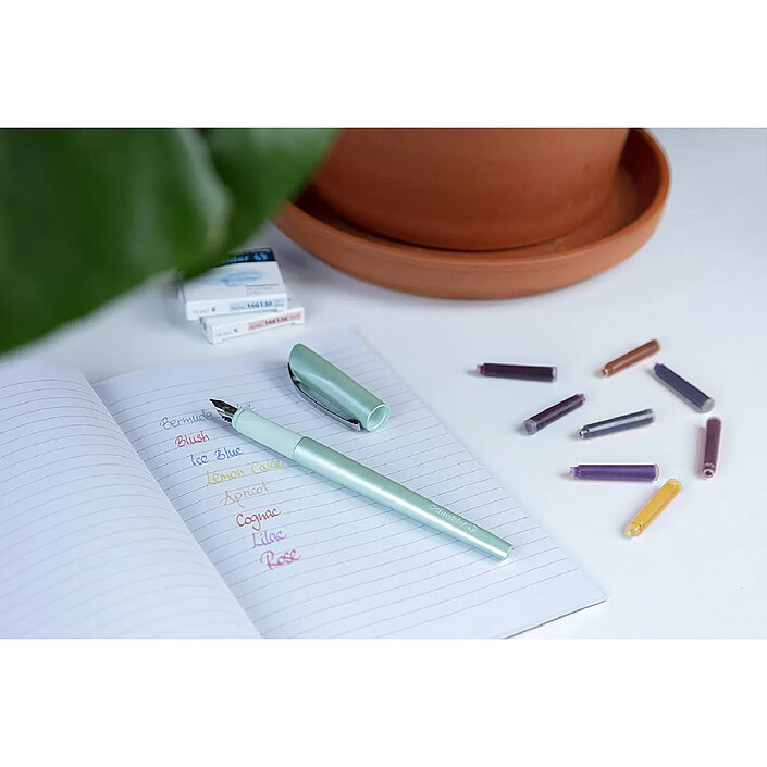 Avis SCHNEIDER Cartouche d'encre Rose Boîte 6 pièces x 10