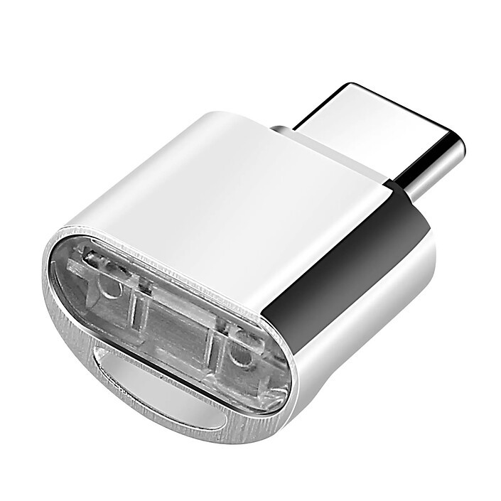 Avizar Mini Lecteur Carte micro SD / TF, Adaptateur USB-C 3.1 Argent