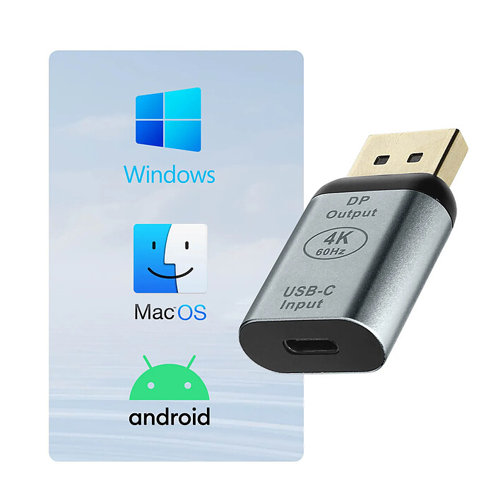 Avizar Adaptateur Vidéo USB-C femelle vers DisplayPort mâle Design Compact pas cher