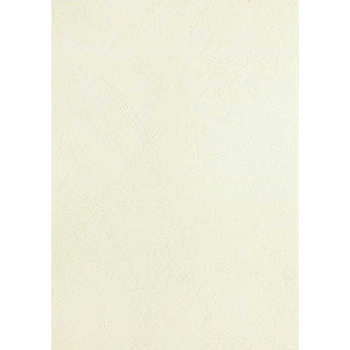 PAVO Paquet de 100 Plats de Couverture matière synthétique 250g A4 Ivoire