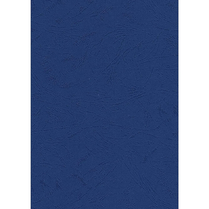 PAVO Paquet de 100 Plats de Couverture matière synthétique 250g A4 Bleu foncé