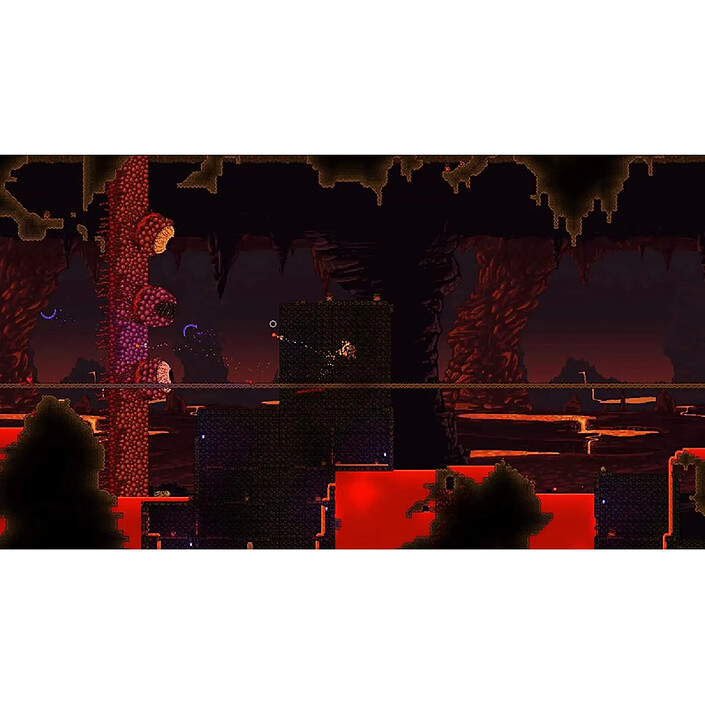 Avis Terraria Nintendo SWITCH