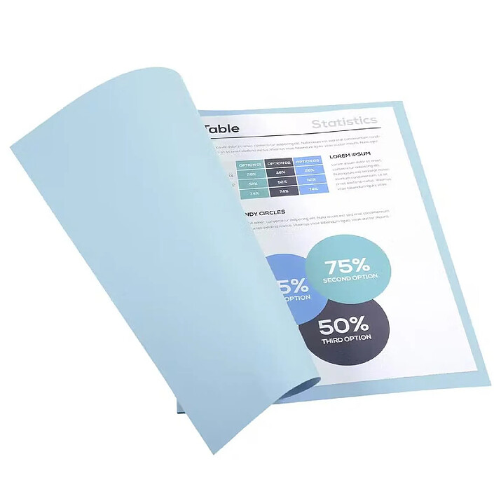 EXACOMPTA Paquet De 100 Chemises Rock's En Carte 210 G