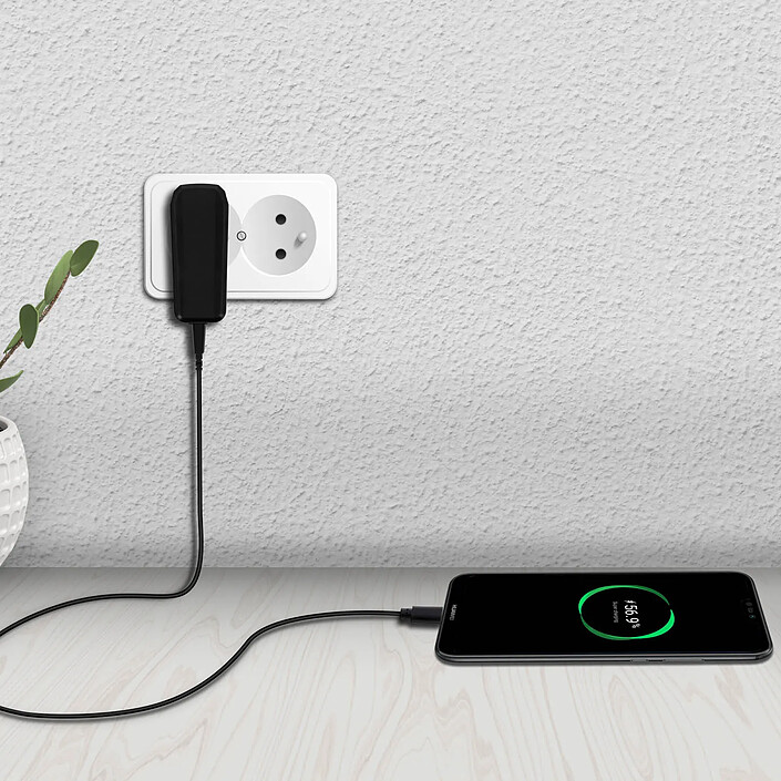 Avis Blue Star Chargeur Secteur 2A Smartphone et Câble USB Type C Flexible 1m Bluestar Noir