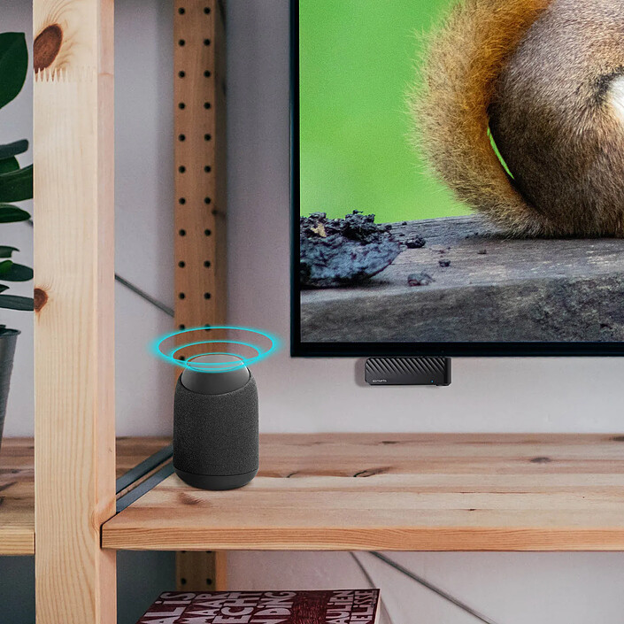 4smarts Transmetteur audio Bluetooth Double Jack 3.5mm rabattable Mode avion 4Smarts pas cher