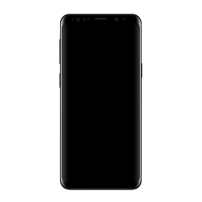Samsung Bloc Complet pour Samsung Galaxy S9 Plus Écran LCD Vitre Tactile Gris
