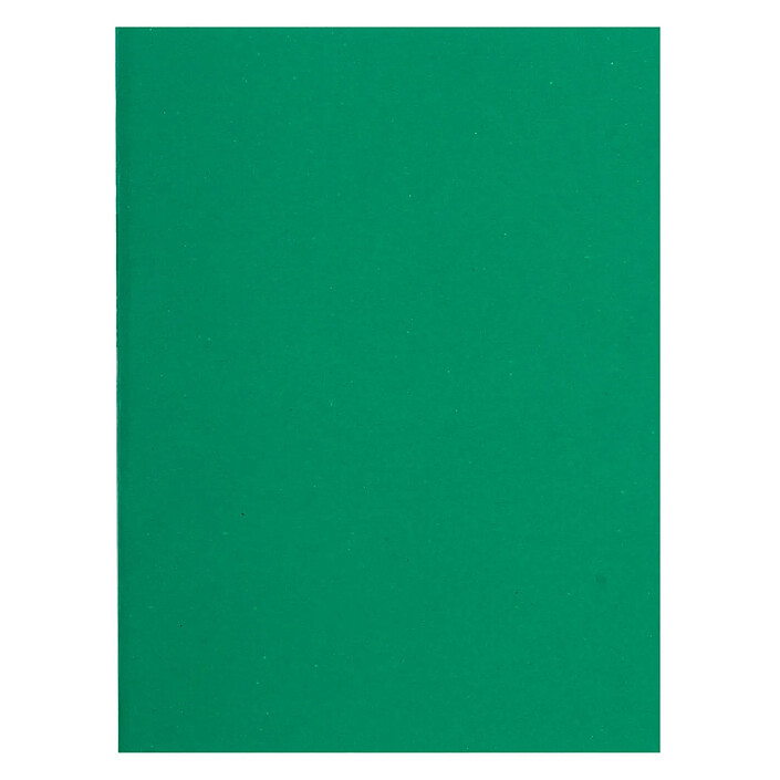 EXACOMPTA Paquet de 100 chemises Flash 220 teintes vives24 x 32 cm Vert foncé x 5