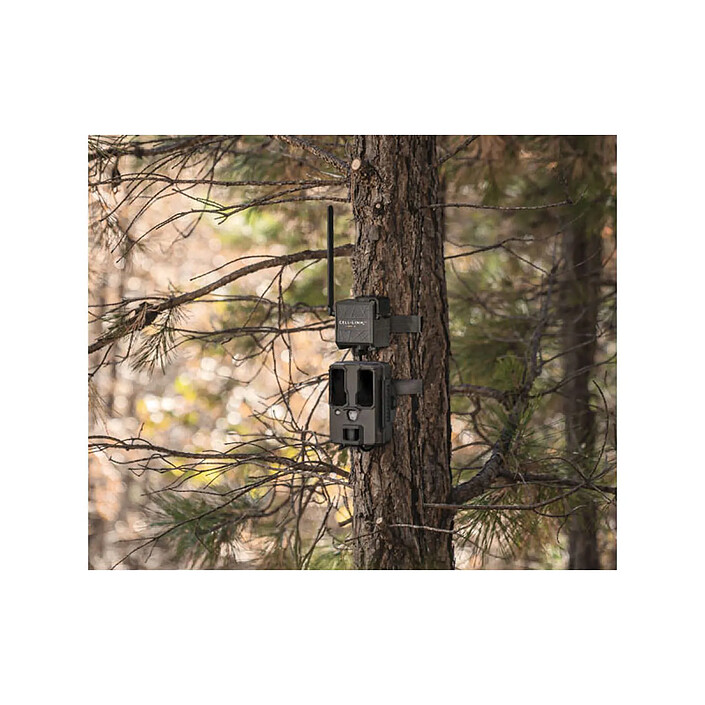 Acheter SPYPOINT TrailCam CELL CELL-LINK - GRIS - SP680602