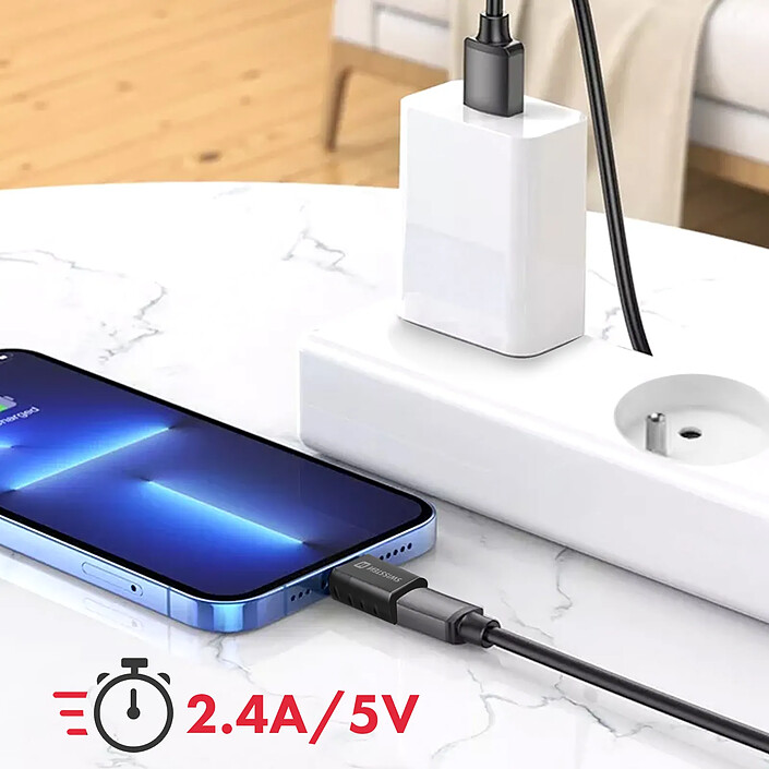 Swissten Adaptateur Apple Lightning vers USB-C Transfert de Données et Charge Noir pas cher