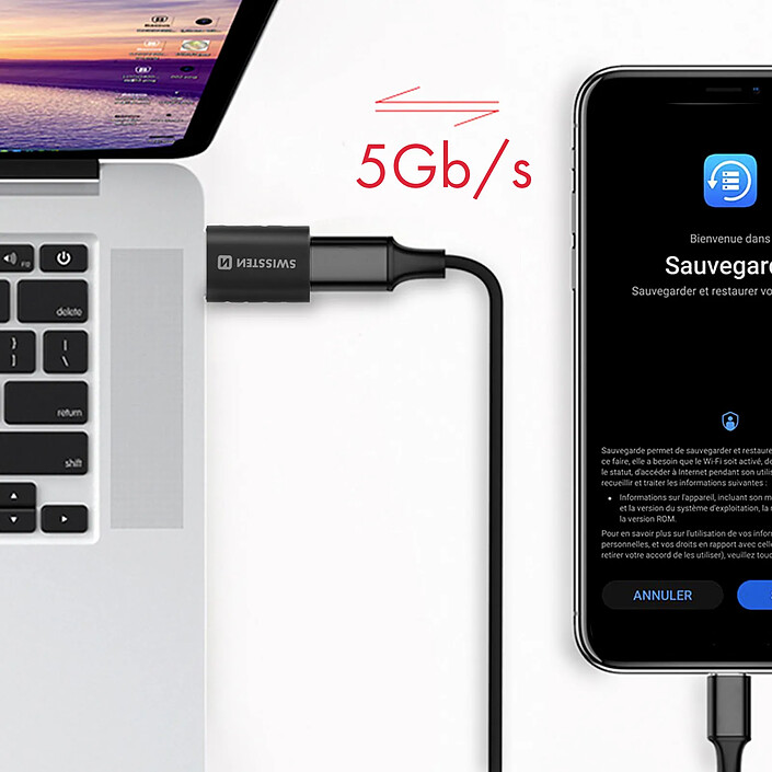 Acheter Swissten Adaptateur USB Mâle 3.0 vers USB-C Transfert de Données et Charge Noir
