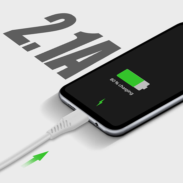 Acheter Swissten Chargeur Secteur Double USB 2.1A Smart IC + Câble USB-C Blanc