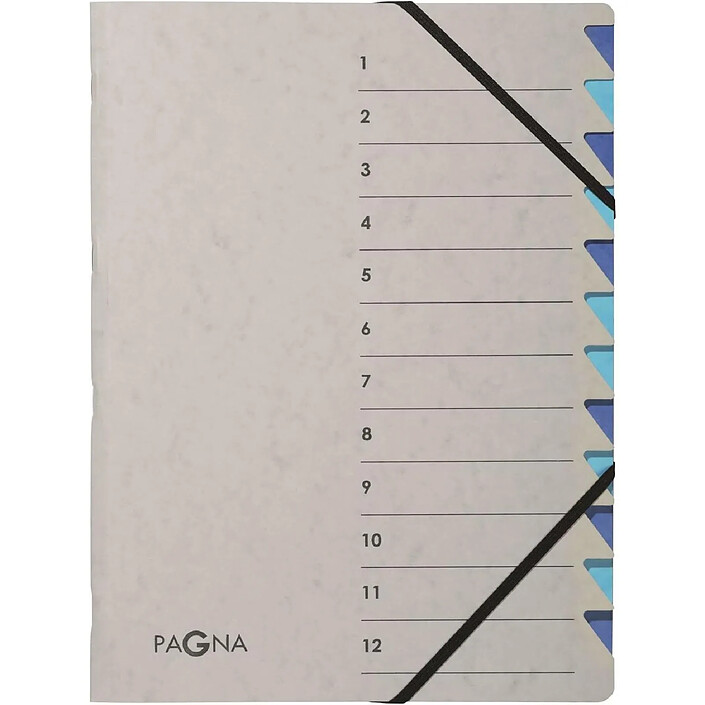 PAGNA Trieur 'Easy Grey', A4, 12 compartiments, bleu x 5