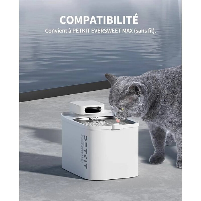 Acheter Filtres pour fontaine à eau pour Chat et Chien, 5 pièces à Utiliser sur les modèles EVERSWEET MAX