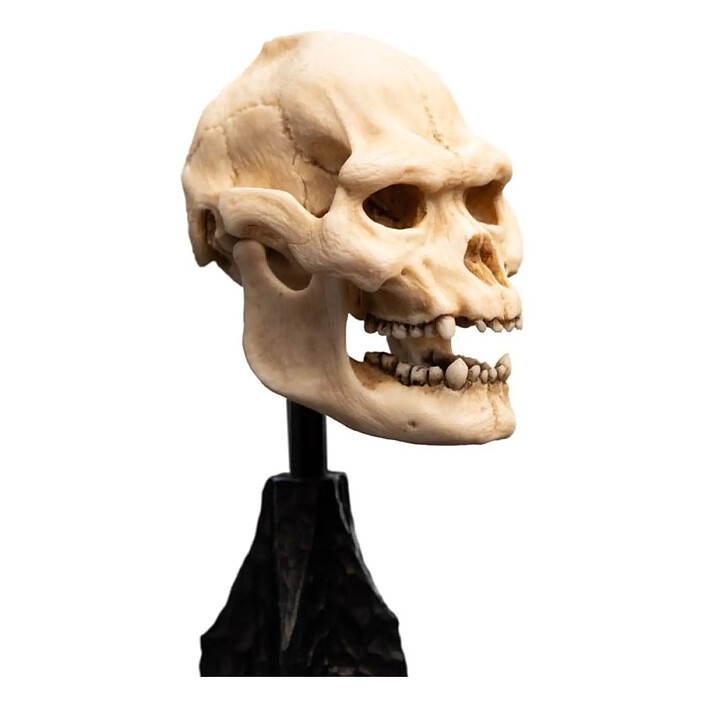 Avis Le Seigneur des Anneaux - Statuette Skull of Lurtz 14 cm