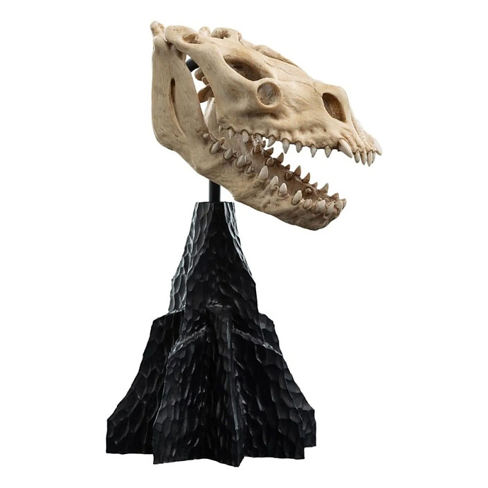 Le Seigneur des Anneaux - Statuette Skull of a Fell Beast 21 cm pas cher