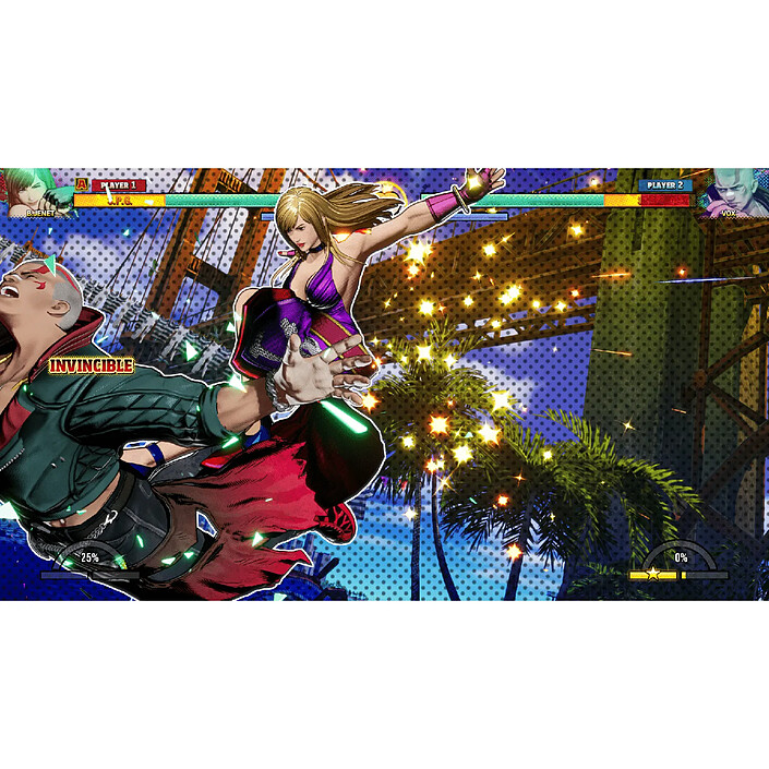 Avis Fatal Fury City of Wolves Special Edition (PS5)