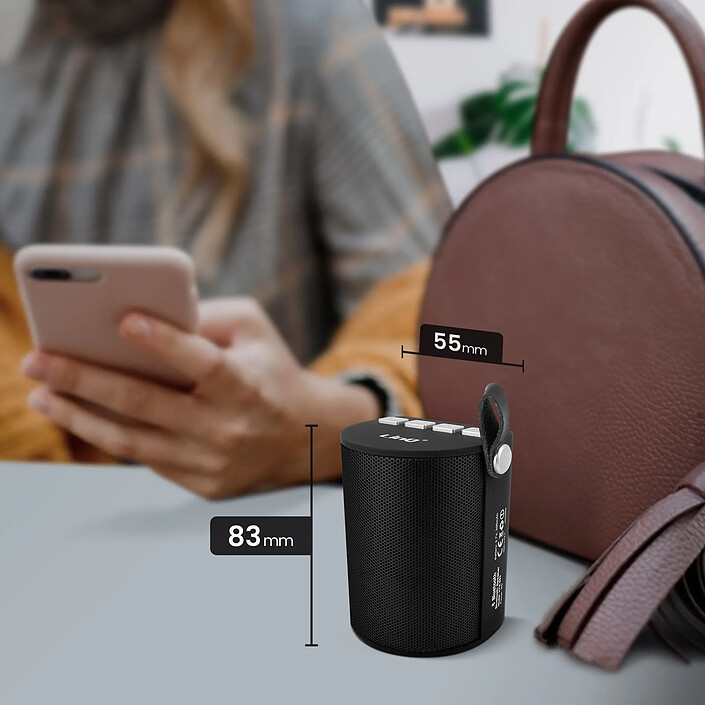 Acheter LinQ Enceinte Sans-fil Bluetooth LED Multicolore Radio FM Port USB micro SD Noir
