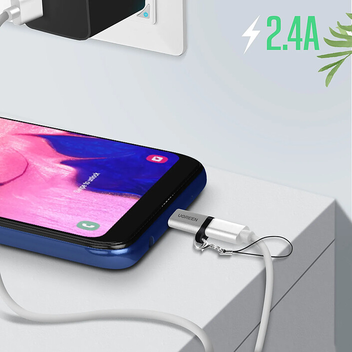 Acheter Ugreen Adaptateur USB-C vers micro-USB Charge et Synchronisation 2.4A Gris