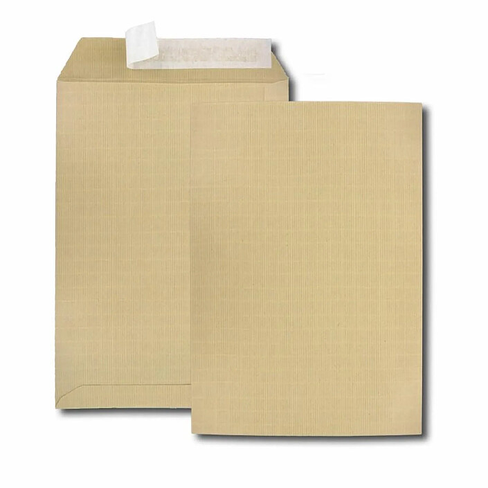 GPV Paquet de 10 pochettes kraft armé brun C4 229x324 130 g bande de protection
