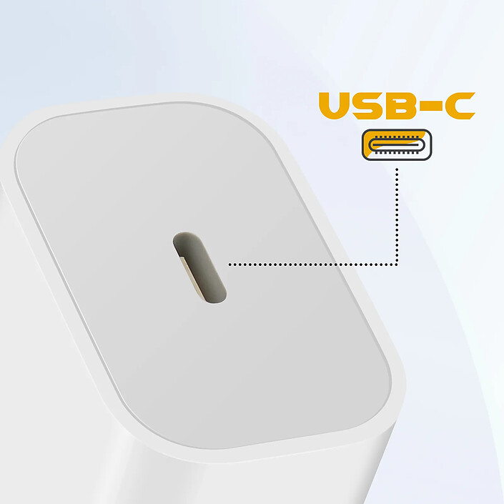 Acheter Inkax Chargeur Secteur USB-C Power Delivery 20W Charge Rapide Format Compact Blanc