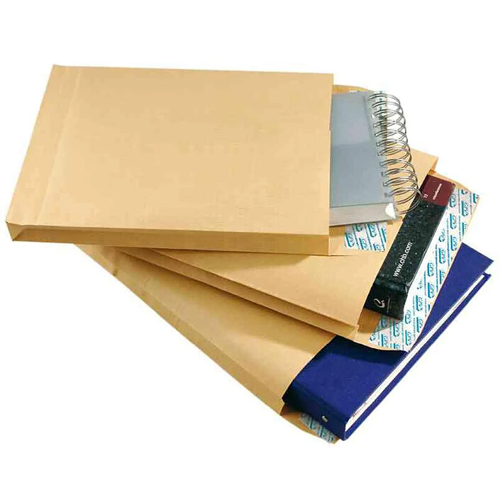 GPV Boite de 50 sacs à soufflets kraft armé brun 26 280x375 130g bande de protection
