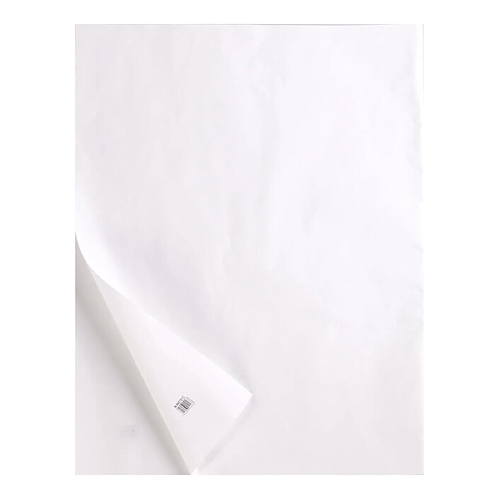 CLAIREFONTAINE Rame de 10 feuilles de Papier Calque, 285 g/m², A3