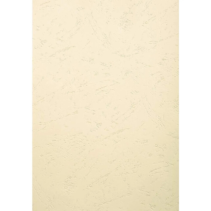 EXACOMPTA Pack de 100 feuilles EVERCOVER pour reliure A3 270 g Ivoire x 5