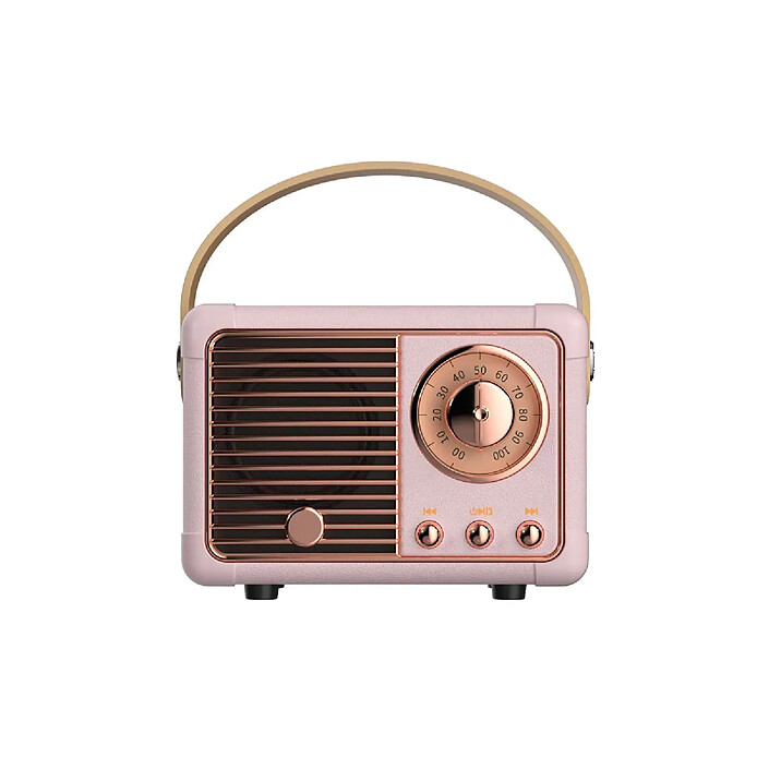 Avizar Enceinte Bluetooth 5.0 3W RMS Modèle Auteuil avec Poignée de Transport Rose