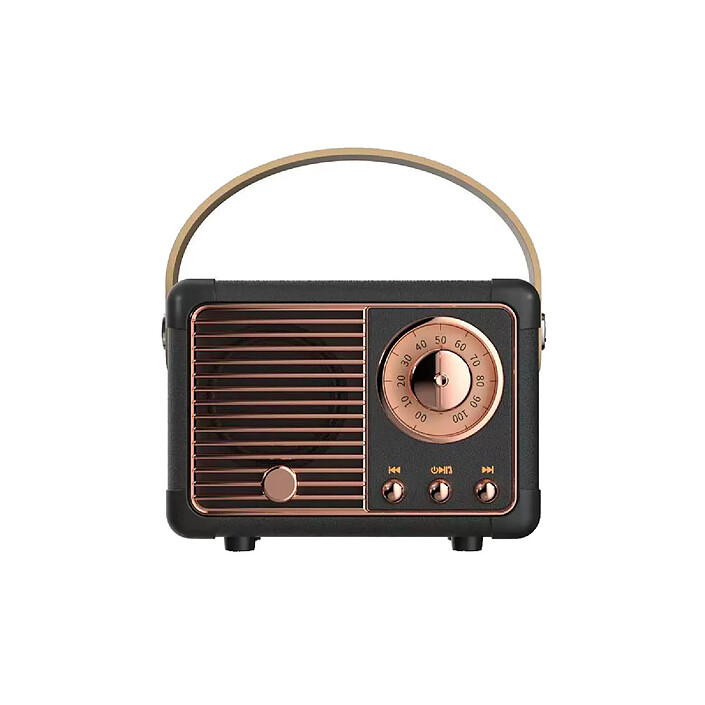 Avizar Enceinte Bluetooth 5.0 3W RMS Modèle Auteuil avec Poignée de Transport Noir