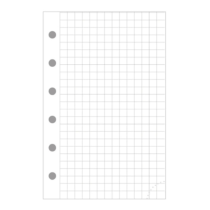 EXACOMPTA Recharge accessoire Exatime 29 quadrillé 5x5 32 feuillets 297x210 mm