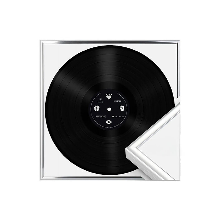 Avizar Cadre de Présentation 12,5" pour Vinyles 33 Tours Mural en Aluminium