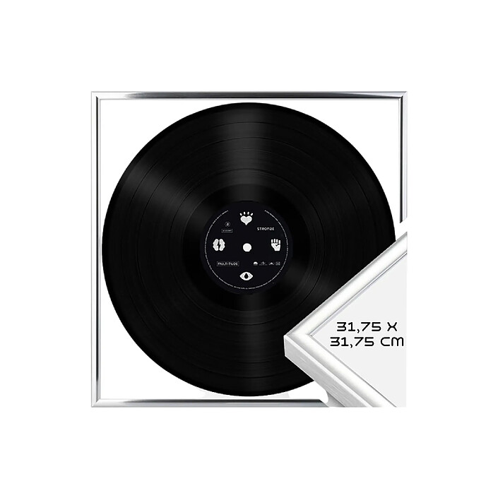 Acheter Avizar Cadre de Présentation 12,5" pour Vinyles 33 Tours Mural en Aluminium