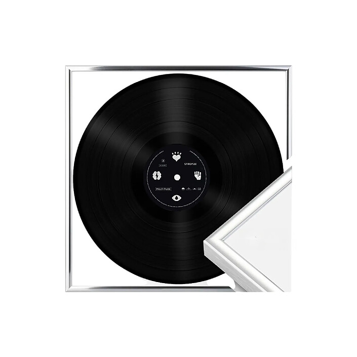 Avizar Cadre de Présentation 12,5" pour Vinyles 33 Tours Mural en Aluminium