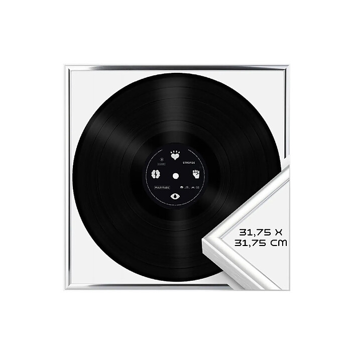 Acheter Avizar Cadre de Présentation 12,5" pour Vinyles 33 Tours Mural en Aluminium