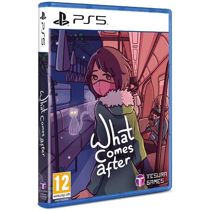 What Comes After PS5