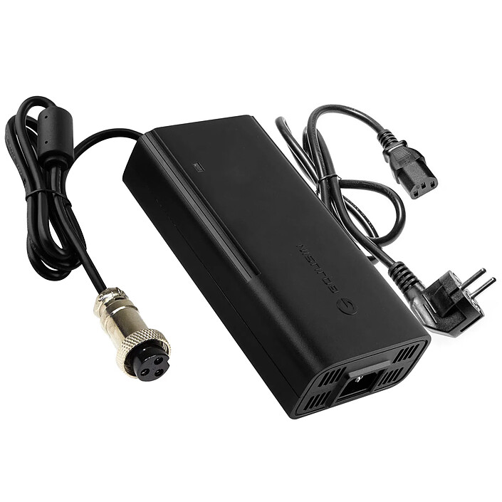 Avizar Chargeur 72V - 84V / 2A pour Dualtron Thunder 2 Connecteur GX16-3P