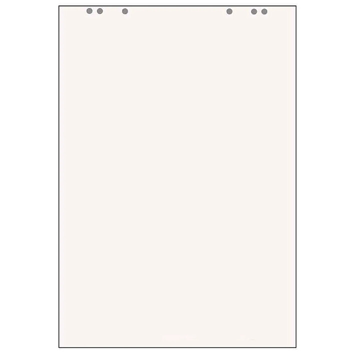 HERLITZ Lot de 5 Blocs Papier recyclé Paperboard 20f 80g 68 x 99 cm Unies