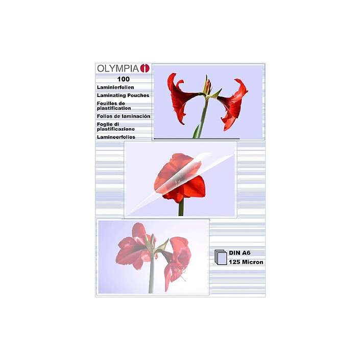 OLYMPIA paquet de 100 pochettes de plastification A6 125 micron