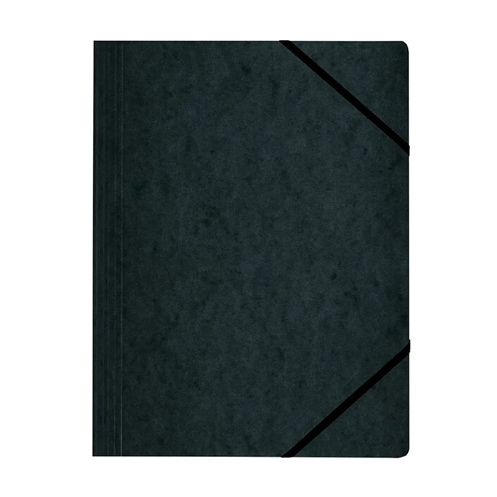 HERLITZ 5 x chemise easyorga, A4, carton Colorspan, noir