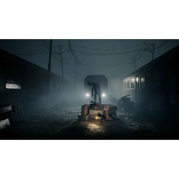 Avis Reanimal Collector's Edition Switch 2