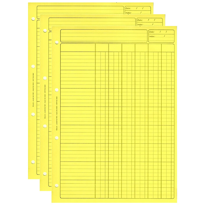 ELVE Bloc Audit 6 Colonnes + entête 297X210 80 Pages Jaune x 3